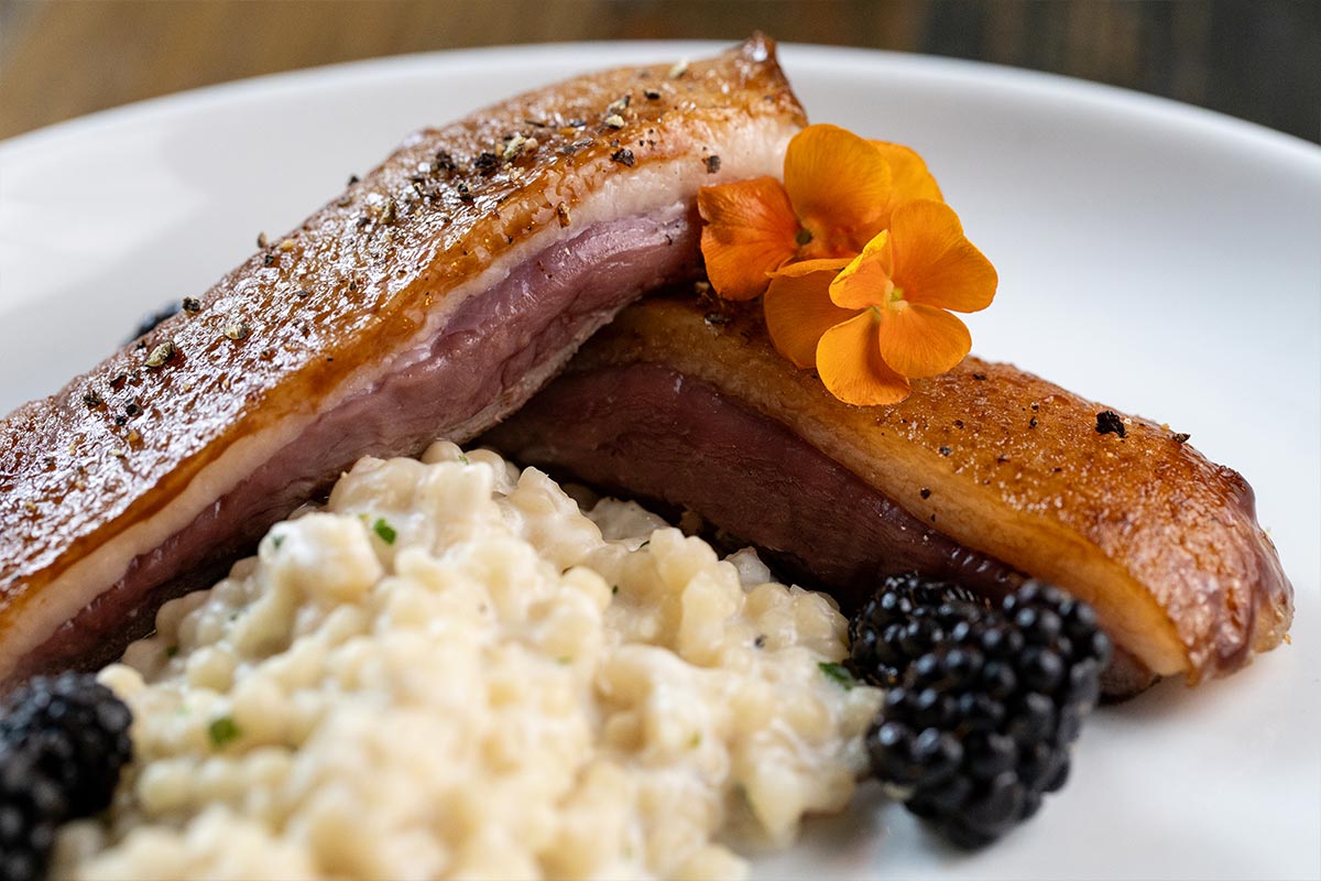 Seared duck breast with risotto and blackberries at Harper's